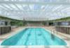 Piscina Jungle